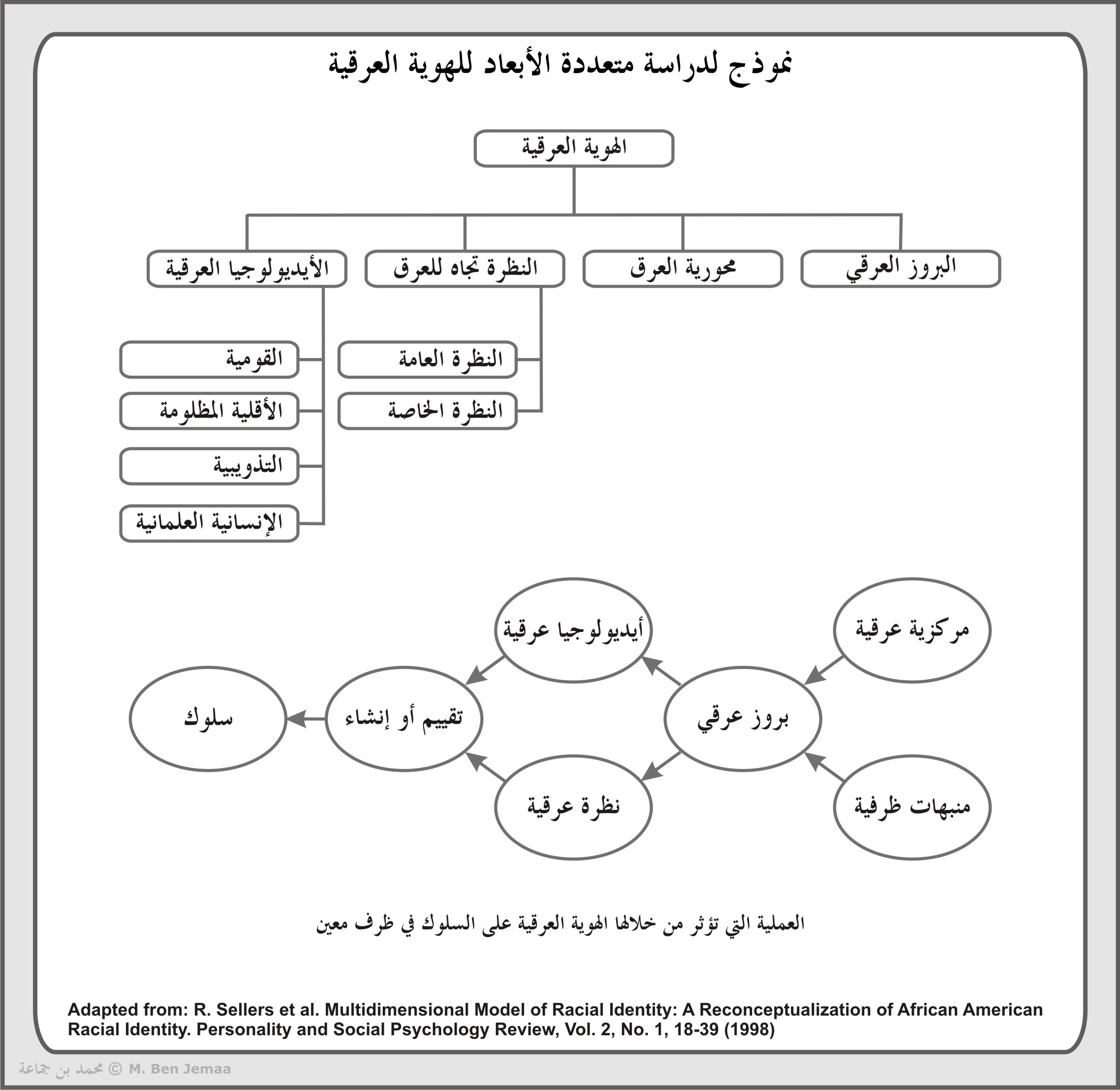 ملحق بصري 11