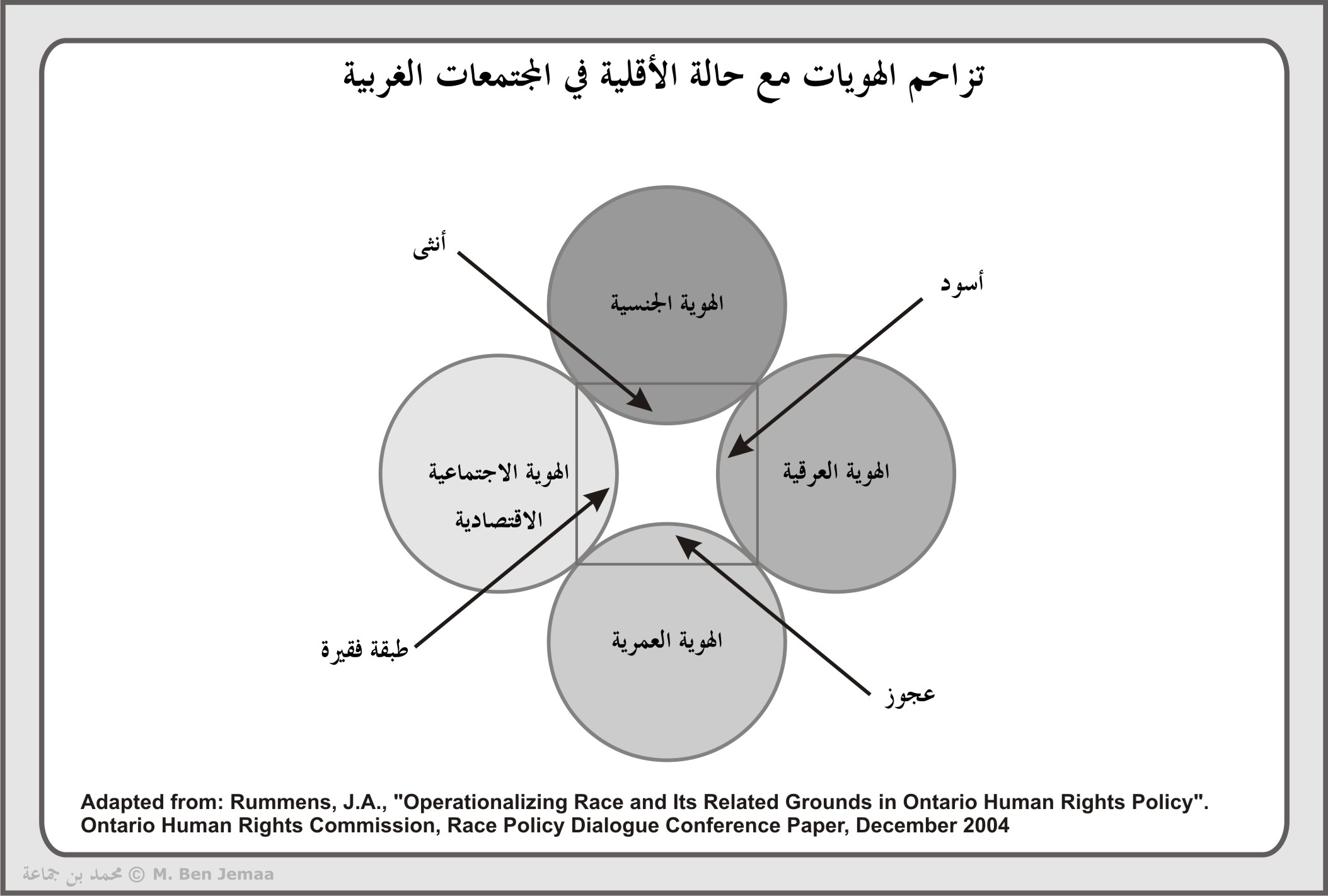 ملحق بصري 13