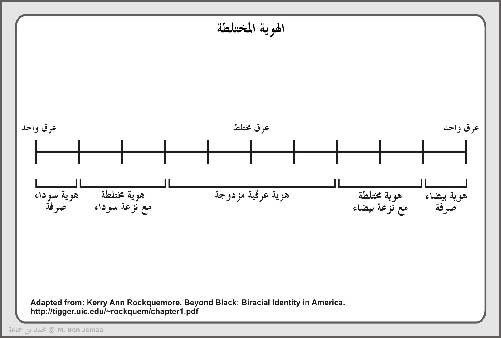 ملحق بصري 15